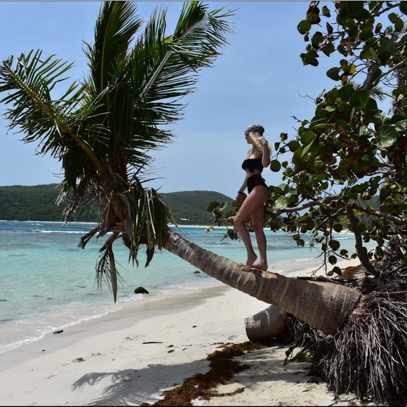 Meet Your Posher, Lisa! - Picture 4 of 8